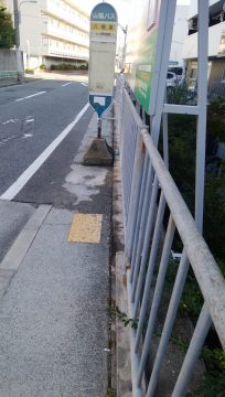 南から写した写真