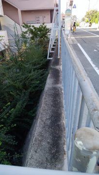 北から写した写真